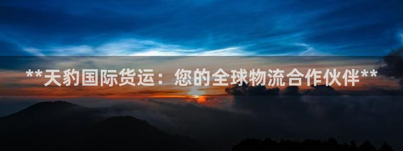 尊龙官网手机版下载：**天豹国际货运：您的全球物流合作伙
