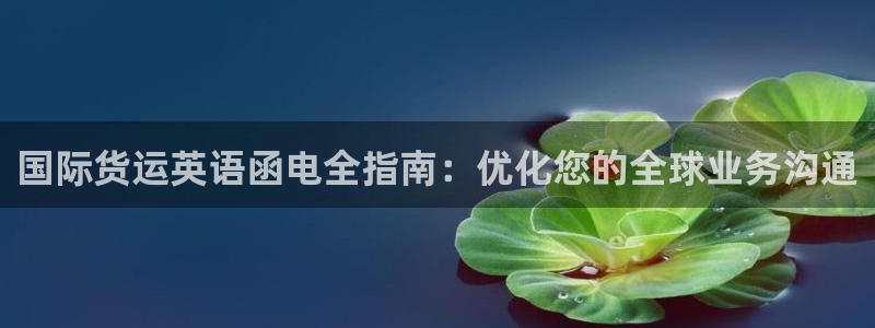 尊龙一人生就是博电子游戏：国际货运英语函电全指南：优化您