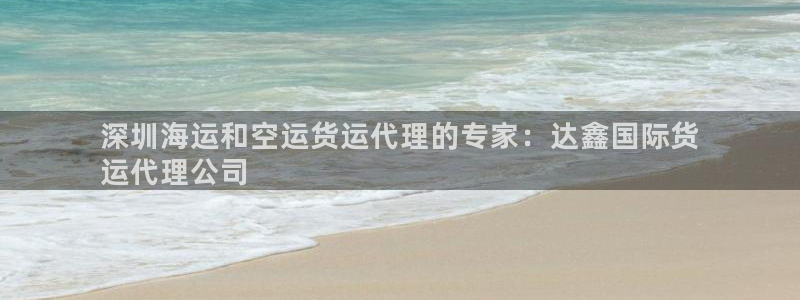 尊龙实业 吴友良：深圳海运和空运货运代理的专家：达鑫国际