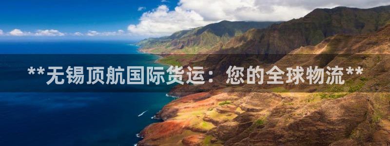 尊龙165：**无锡顶航国际货运：您的全球物流**