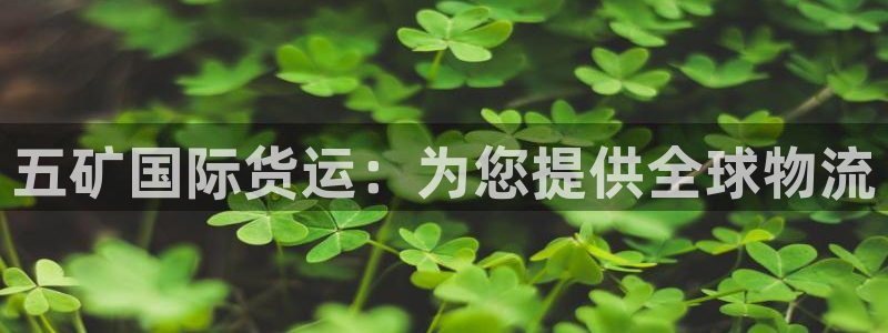 尊龙凯时登陆：五矿国际货运：为您提供全球物流