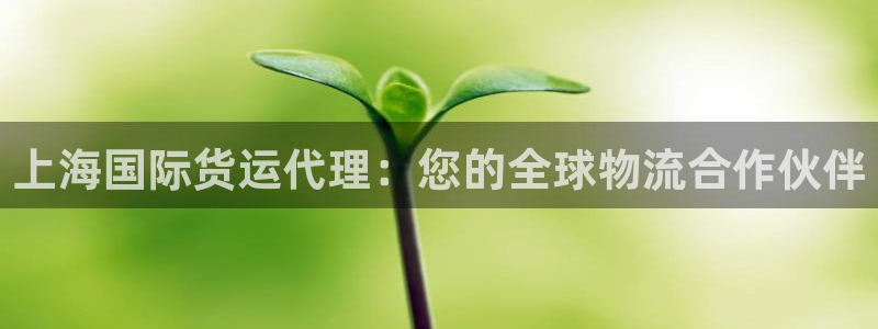 尊龙凯时登陆：上海国际货运代理：您的全球物流合作伙伴