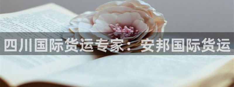 尊龙人生就是博官网登录手机：四川国际货运专家：安邦国际货