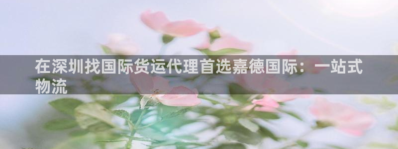 尊龙网址是选访问zd207：在深圳找国际货运代理首选嘉德