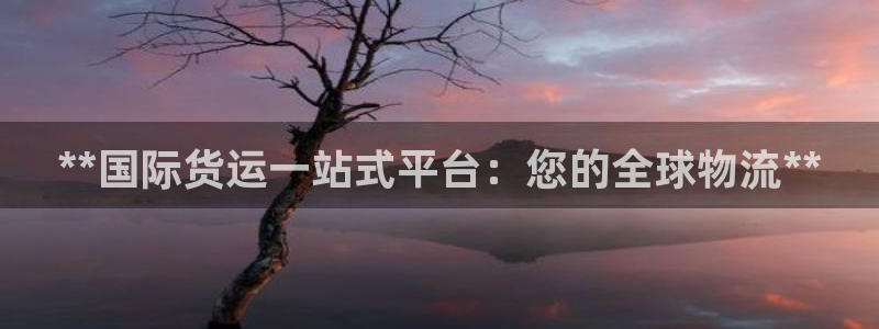 尊龙官网地址：**国际货运一站式平台：您的全球物流**