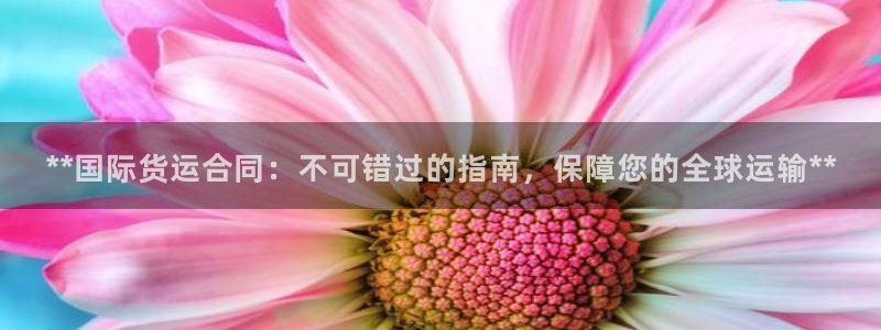 尊龙人生就是博网站下载：**国际货运合同：不可错过的指南