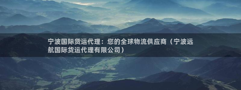 尊龙t600：宁波国际货运代理：您的全球物流供应商（宁波