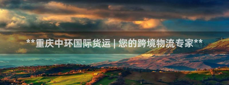 尊龙凯时人生就是博游戏网站：**重庆中环国际货运 | 您