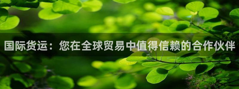 尊龙凯时百万奖池：国际货运：您在全球贸易中值得信赖的合作