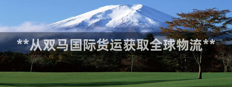 尊龙登录地址：**从双马国际货运获取全球物流**