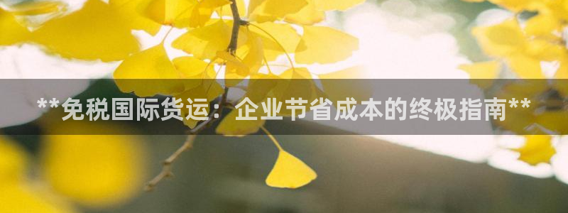 尊龙500价格：**免税国际货运：企业节省成本的终极指南