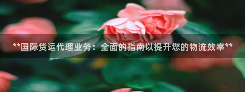 尊龙官网手：**国际货运代理业务：全面的指南以提升您的物