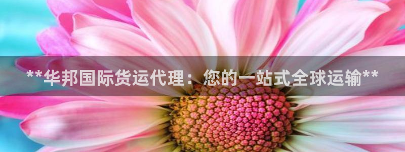尊龙人生就是博AG旗舰厅：**华邦国际货运代理：您的一站