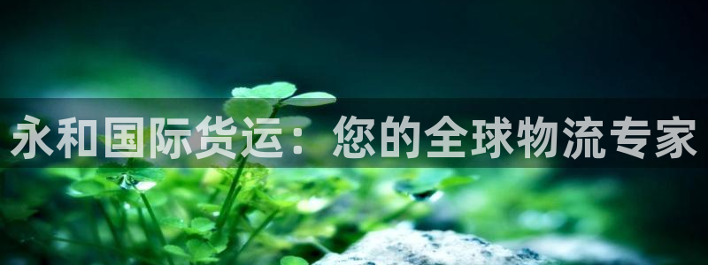 尊龙凯时麻将胡了：永和国际货运：您的全球物流专家