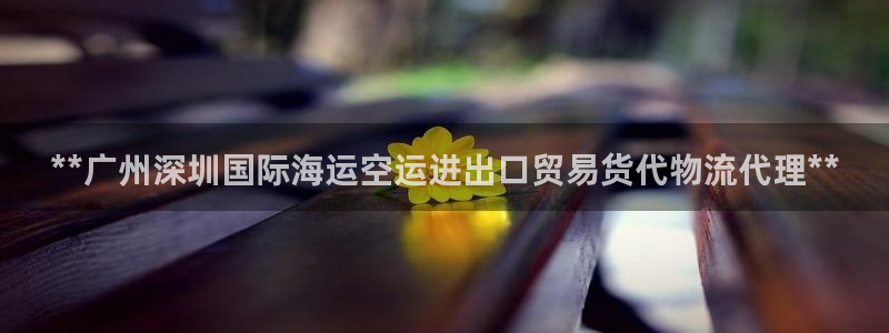尊龙凯时-人生就是博中国官网首页：**广州深圳国际海运空