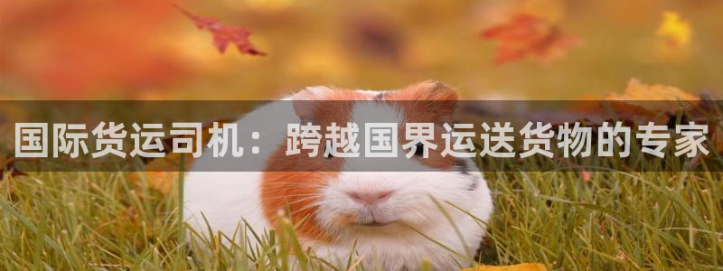 尊龙ag旗舰官网：国际货运司机：跨越国界运送货物的专家
