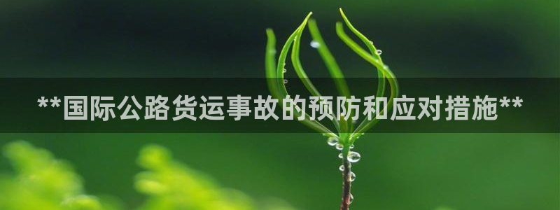 尊龙d88官网准认来就送38：**国际公路货运事故的预防