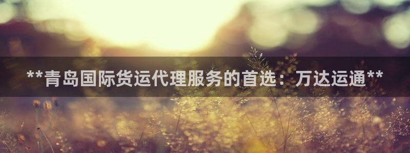 尊龙凯时-人生就是博中国官网：**青岛国际货运代理服务的