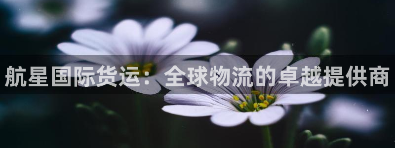 尊龙是什么软件：航星国际货运：全球物流的卓越提供商