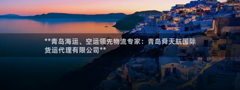 尊龙实业有限公司：**青岛海运、空运领先物流专家：青岛舜