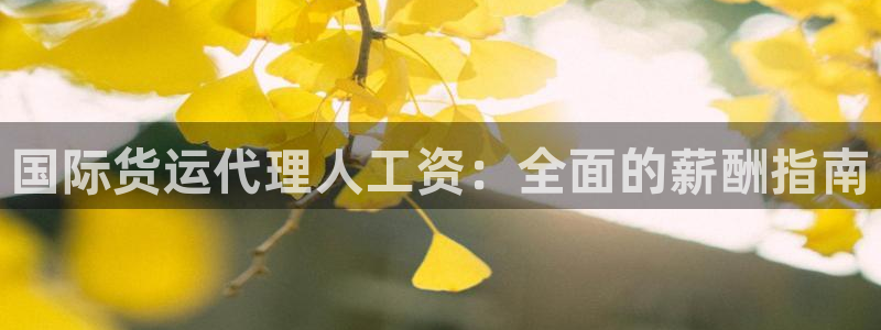 尊龙凯时手机版·(中国)官方网站：国际货运代理人工资：全