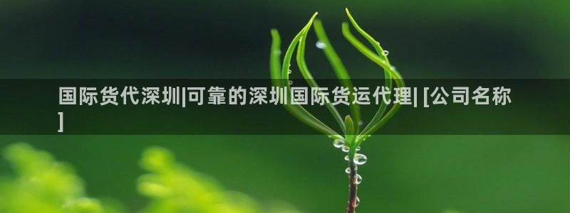 尊龙凯时下载人生就是博：国际货代深圳|可靠的深圳国际货运
