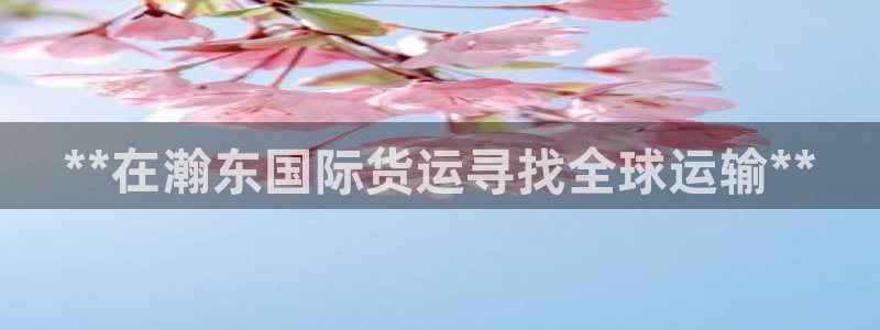 尊龙人生就是博中国区：**在瀚东国际货运寻找全球运输**