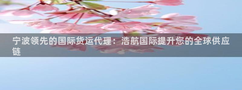 尊龙凯时官网入口：宁波领先的国际货运代理：浩航国际提升您