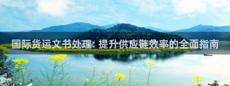 尊龙人生就是博菲律宾台子：国际货运文书处理: 提升供应链