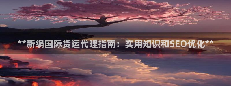 尊龙凯时 人生就是搏：**新编国际货运代理指南：实用知识