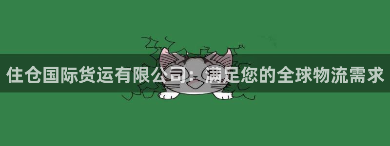 尊龙 6：住仓国际货运有限公司：满足您的全球物流需求