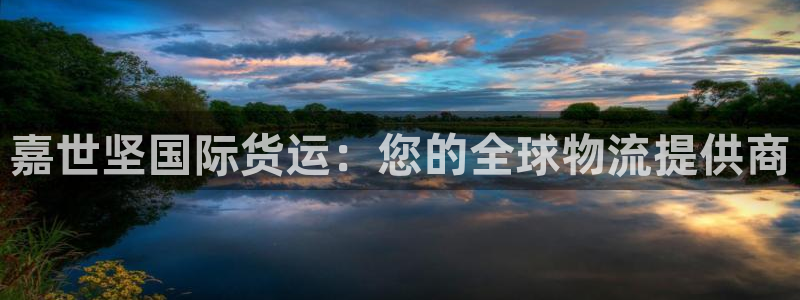 尊龙凯时下载官方正版：嘉世坚国际货运：您的全球物流提供商