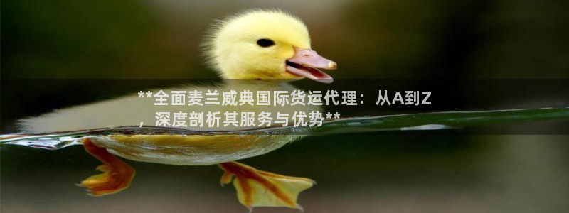尊龙凯时人生就是搏 品牌专区：**全面麦兰威典国际货运代