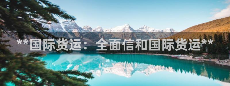 尊龙凯时提款冻卡吗：**国际货运：全面信和国际货运**