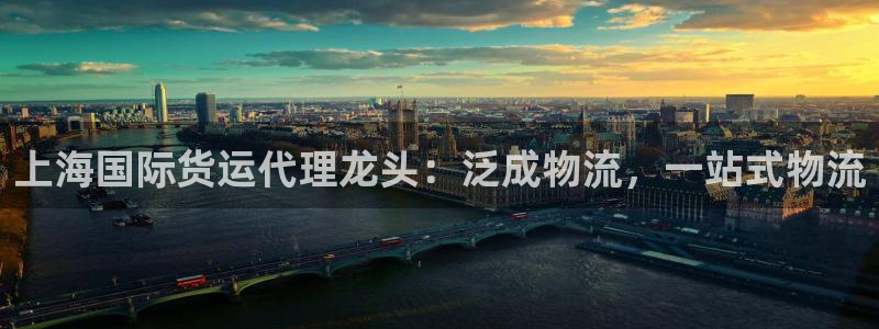 尊龙光学怎么样：上海国际货运代理龙头：泛成物流，一站式物