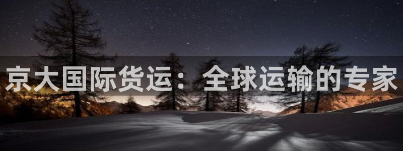 尊龙凯时电竞：京大国际货运：全球运输的专家