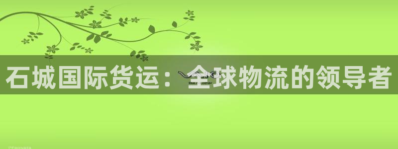 尊龙人生就是博：石城国际货运：全球物流的领导者