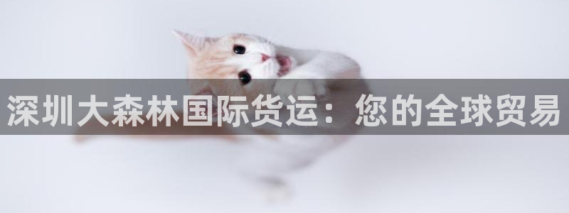 尊龙集团官网：深圳大森林国际货运：您的全球贸易