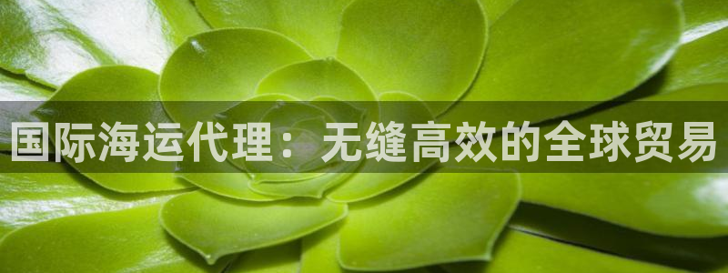 尊龙凯时是赌博嘛：国际海运代理：无缝高效的全球贸易