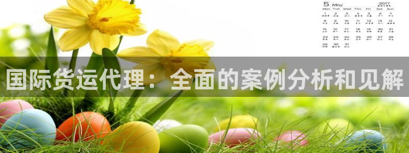 尊龙旗舰厅：国际货运代理：全面的案例分析和见解