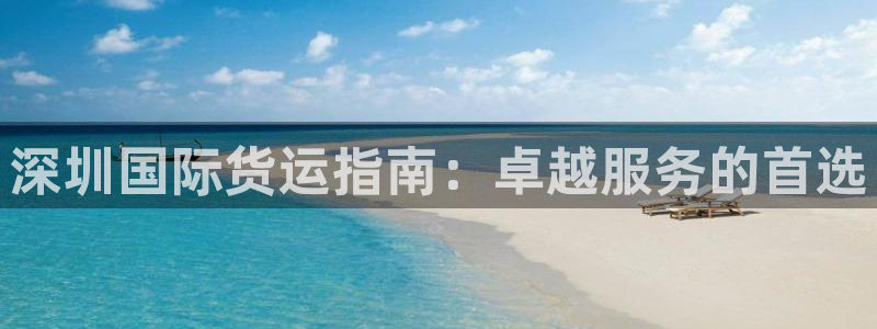 尊龙体育怎么样：深圳国际货运指南：卓越服务的首选