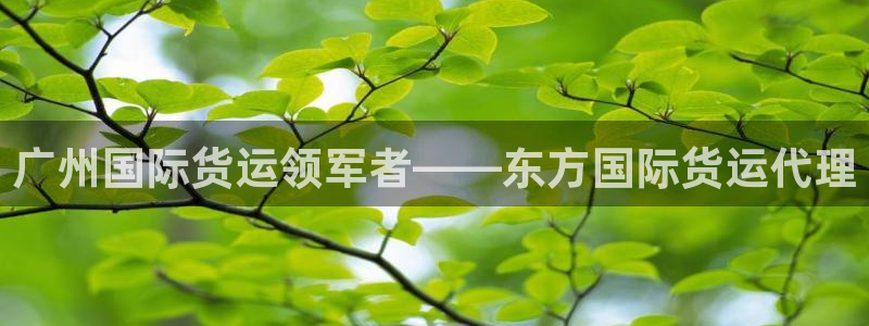 尊龙ag：广州国际货运领军者——东方国际货运代理