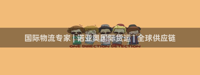尊龙网站注册网：国际物流专家 | 诺亚奥国际货运 | 全