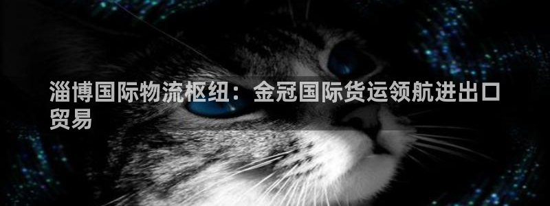 尊龙coming to my own：淄博国际物流枢纽：