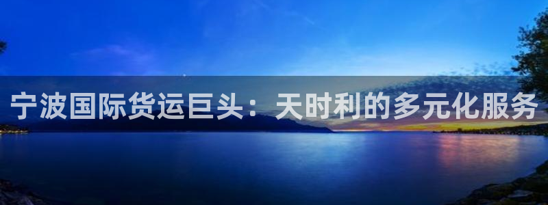 尊龙平台登录：宁波国际货运巨头：天时利的多元化服务