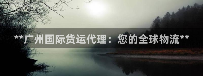 尊龙凯时的最新消息：**广州国际货运代理：您的全球物流*