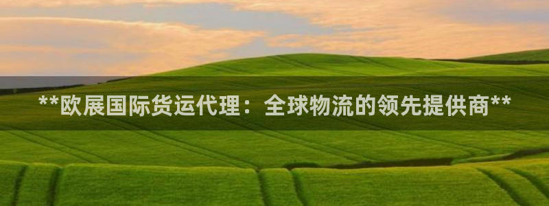 尊龙凯时只输不赢：**欧展国际货运代理：全球物流的领先提