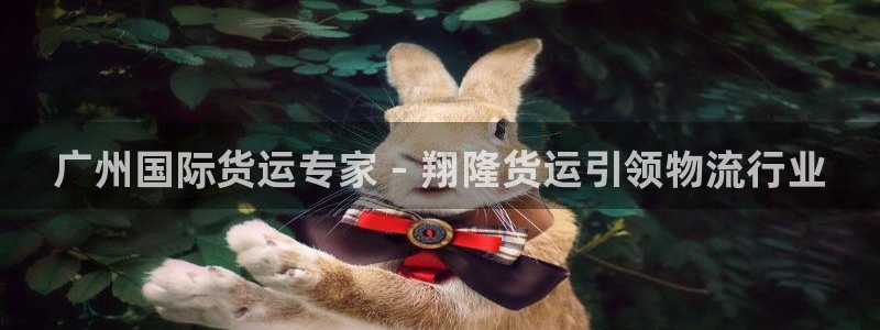 尊龙凯时ag旗舰厅登陆：广州国际货运专家 - 翔隆货运引