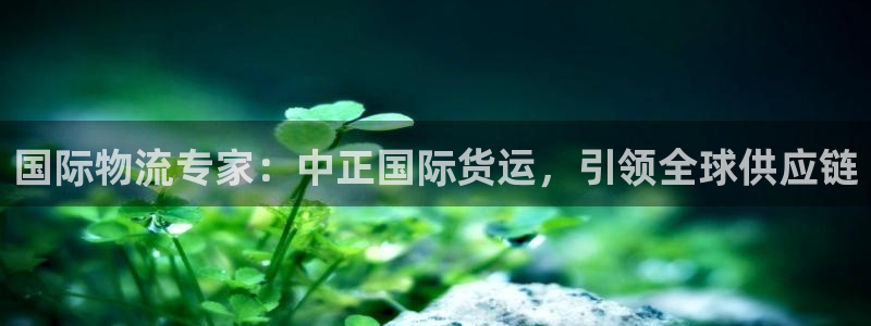 尊龙凯时用户名m：国际物流专家：中正国际货运，引领全球供