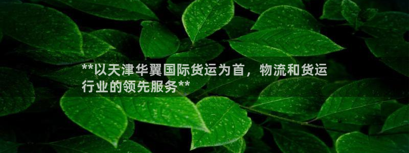 尊龙凯时官网网址：**以天津华翼国际货运为首，物流和货运